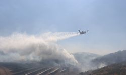 Uşak'ın komşusu Kula Kalınharman'daki yangın karadan ve havadan müdahaleyle kontrol edildi
