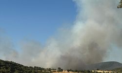 Uşak'ın Banaz ve Eşme ile Manisa'nın Sarıgöl ilçelerinde büyük yangın!