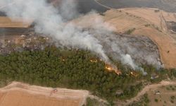 Banaz Büyükoturak ve Dumlupınar'daki yangın kontrol altına alındı