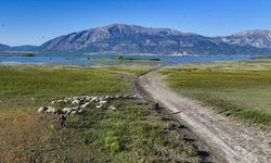 Uşak Sivaslı'nın komşusu Çivril Belediyesine 7 memur alınacak