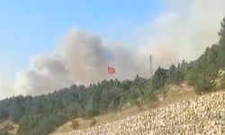 Uşak, Kütahya ve Afyon'un ortasındaki Dumlupınar Şehitliği'nin bulunduğu bölgede orman yangın çıktı