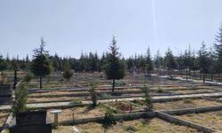 Uşak Belediyesi, Atatürk Anıtı önünden mezarlıklara bedava servis kaldıracak!