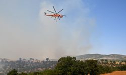 Uşak'ta 6 evin boşaltıldığı orman yangını kontrol altına alındı