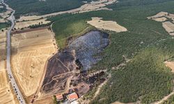 Uşak'ın Banaz ilçesinde yanan anız, ormanın bir bölümünü yok etti