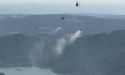 Uşak'ın Banaz ilçesinde çıkan orman yangınına müdahale