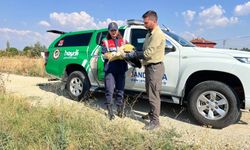 Uşak Kalfa köyünde yaralı bulunan leyleğe yardım eli