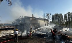 Uşak Sorkun köyündeki yangında 2 inek ve 1 buzağı canlı kurtarıldı