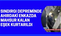 Sındırgı Kırsal Mahallesi'ndeki yıkılan ahırda enkazda kalan eşek kurtarıldı