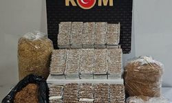 Uşak'ta kaçak tütün operasyonu