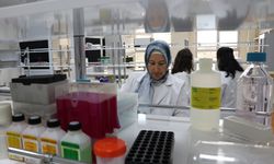 Kütahya Sağlık'ta eklem ağrıları için borla tedavi