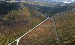 Uşak, Kütahya ve Manisa'yı besleyen Gediz Nehri'nin bölgeye hediyesi: Kula Yanık Ülke