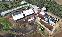 Mütevazı çiftliğini devlet destekleriyle modern süt üretim tesisine dönüştürdü