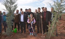 Banaz'da Milli Ağaçlandırma Günü'nde 11 bin fidan dikildi