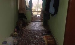 Uşak Eşme Karaahmetli'deki eve yıldırım düştü