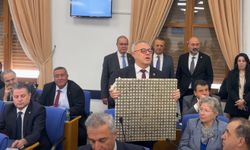 CHP Uşak Milletvekili, oğluyla beraber 1'er TL paralarla tablo yaptı