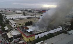 İzmir'de salça fabrikasında çıkan yangın söndürüldü