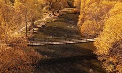 VAN - İnci Kefali Tabiat Parkı sonbahar renklerine büründü