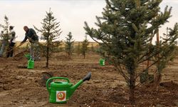 Uşak'ta Milli Ağaçlandırma Günü'nde fidan dikildi