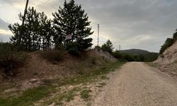 Uşak Banaz'da yazılan o cezalarla ilgili tabela karmaşası!