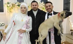 Uşak'ın komşusu Çivril'de gelin ve damada altın takı yerine, yavru çoban köpeği hediye etti
