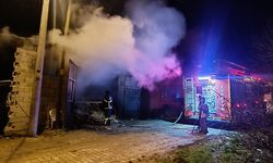 Uşak'ın Banaz ilçesinde yangın! 5 koyun telef oldu!