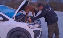 Uşak'ın Banaz ilçesinde zehir tacirleriyle mücadele! Metruk binalarda çalışma yapıldı