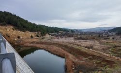 Uşak'ın su sıkıntısını rahatlatması beklenen barajda ne su var ne arıtma!