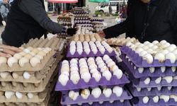 Uşak'ta üzeri lekeli ama yenmesinde sıkıntı olmayan kirli yumurta daha fazla ilgi görüyor