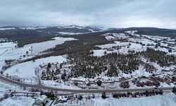 Uşak'ın yüksek kesimlerine kar yağdı! Yüksek noktalarda trafikte aksama olmadı!