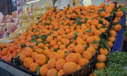 Iraklılar, İzmir'in mandalinasını seviyor!