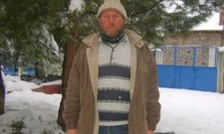 Uşak Karahallı Beki'de çoban Asım Koç koyun otlatırken hayatını kaybetti