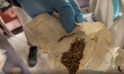 Uşak Polisi'nden eş zamanlı operasyon! 7 kişi tutuklandı!