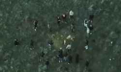 Banaz'ın kapı komşusu Sandıklı'da köpek dövüşü! Bu kadarına da pes!