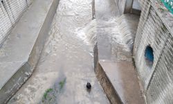 Uşak'ta yağmurda mahsur kalan tavuk kurtarıldı! 27 Ocak 2026 Salı itibariyle bir çok ilde yağmur devam edecek!