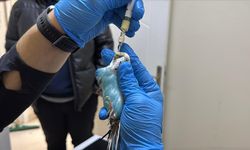 Eskişehir'de faaliyet gösteren kuş uzmanına, Afyon, Kütahya ve Bilecik'ten hasta gidiyor!