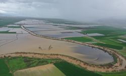 6 yıldır suya hasret olan Büyük Menderes taştı ve bugün bölge su altında kaldı!