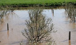 Gediz, Uşak'ın ardından Manisa Turgutlu'yu da sular altında bıraktı