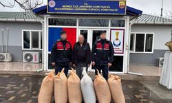 Uşak'taki çörekotu hırsızlığı çözüldü!