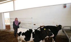Tavaslı Birselin Önüt, 5 inekle başladığı süt işini büyütüp çiftlik sahibi oldu