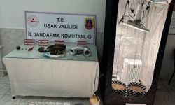 Uşak'ın Karahallı ilçesinde hayretlere düşüren operasyon!