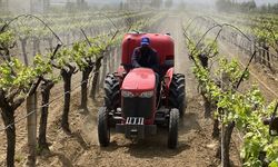Zafer'in desteğiyle Eşme'nin komşusu Alaşehir'de daha iyi ve sağlıklı üzüm üretilecek