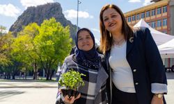 Uşak'ın komşusu Afyonkarahisar'da ücretsiz 420 bin fide dağıtılacak!