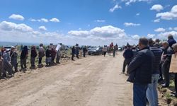 Uşak'taki yılkı atları yok olmasın diye bilirkişi incelemesine bu şekilde katıldılar