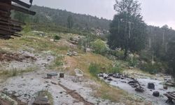 Uşak Merkez Selvioğlu köyünde dolu yağışı etkili oldu