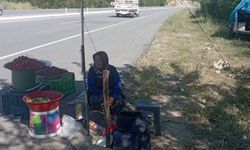 Şaphane ve Pazarlar yolu üzerinde lezzetli kiraz satışı başladı