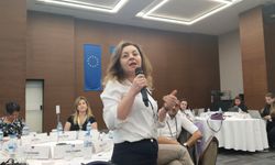 Uşak, Antalya ve İstanbul gibi illerden gazetecilerin katıldığı ILO'nun çalıştayında, sorunlar masaya yatırıldı