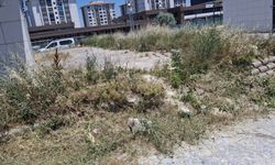 Uşak'ta bin bir umutla yapılan Kentsel Dönüşüm Bölgesi, 10 yılda 'Bakımsızlığını' ilan etti