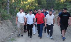 AK Parti Uşak İl Yöneticileri, Dağyenice köyünde doğa yürüyüşü yaptı