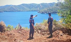 Bodrum, Marmaris ve Datça gibi bir çok ilçede orman yangınlarına karşı sıkı tedbirler