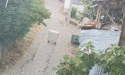 Göynükören'deki çöp konteynırı alıp başını bayır aşağı gitti
